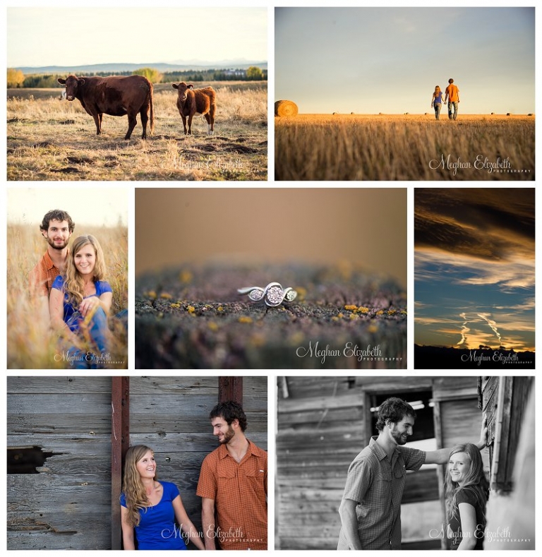 Country Field Engagement Photos Calgary